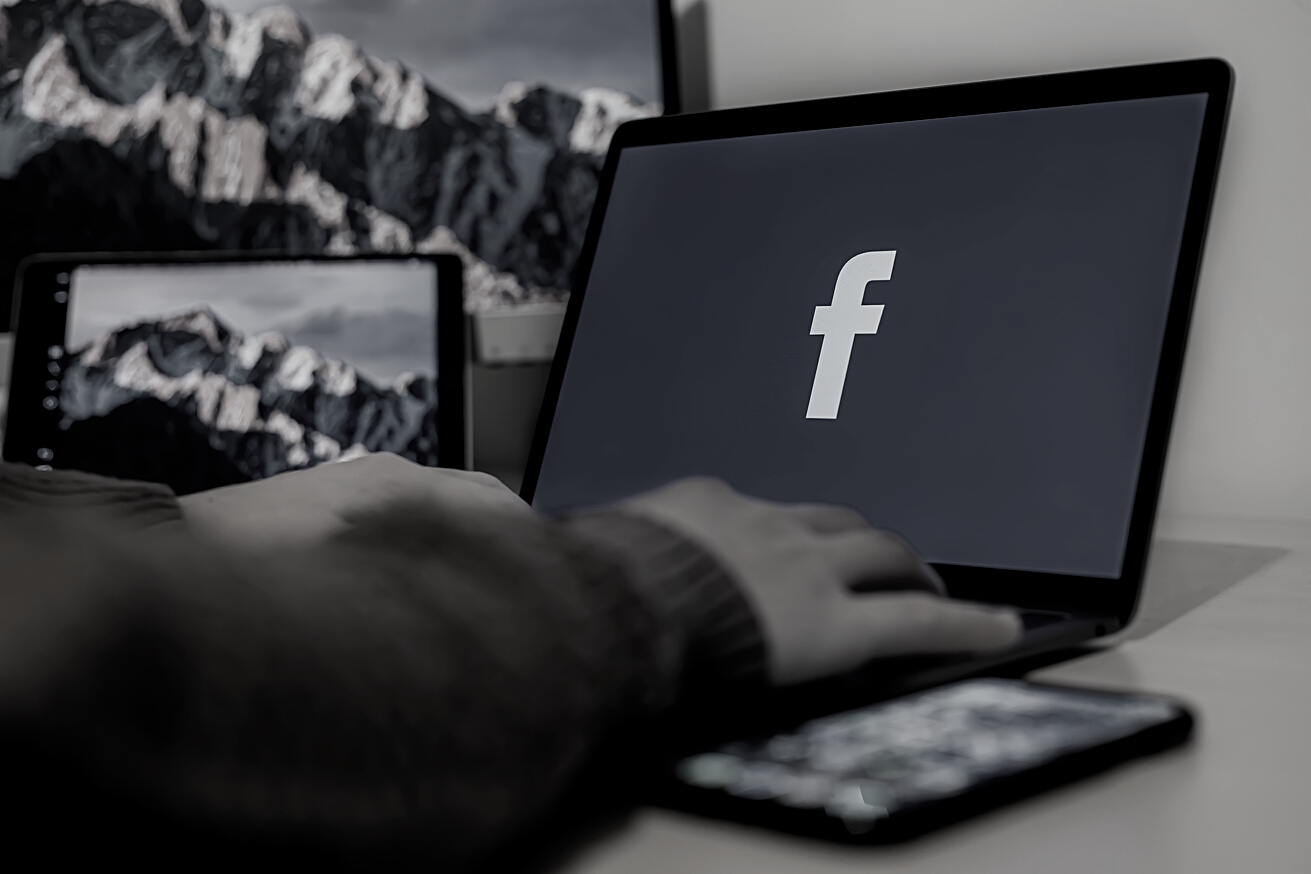 Person Using a Laptop